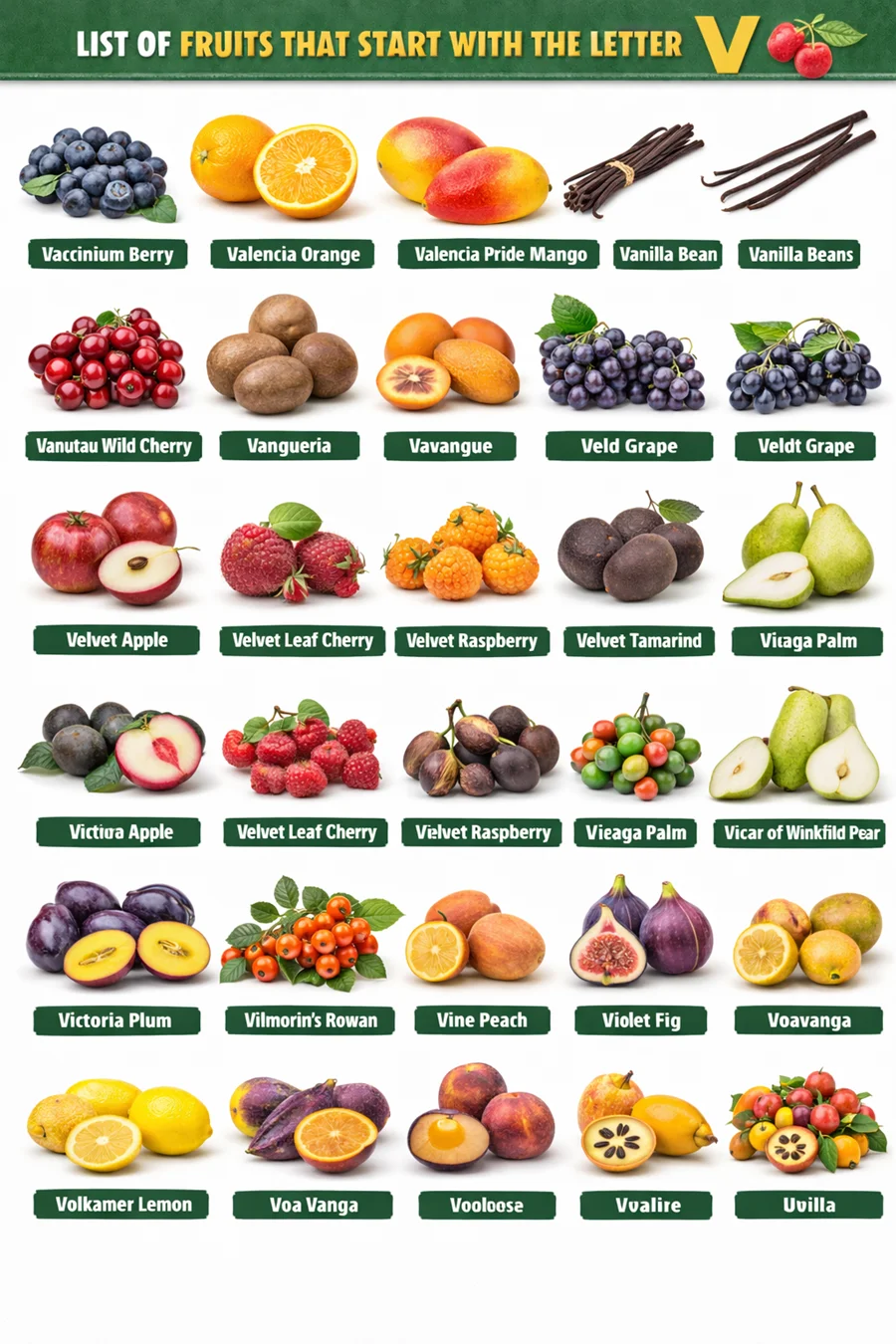 fruits starting with V