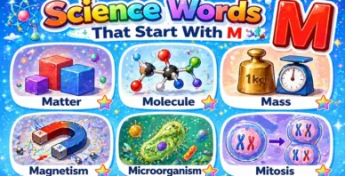 Science Words That Start With M