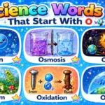 Science Words That Start With O