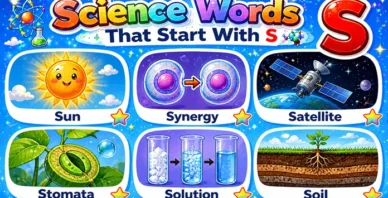 Science Words That Start With S