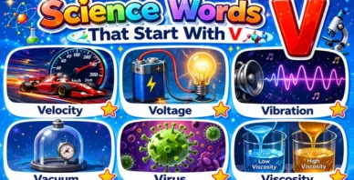 Science Words That Start With V