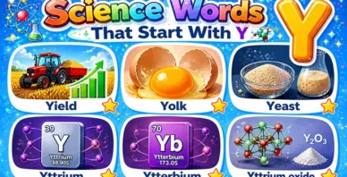 Science Words That Start With Y