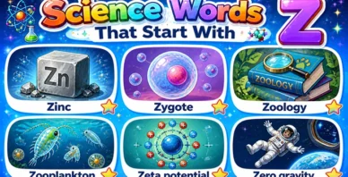 Science Words That Start With Z