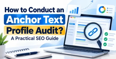 Anchor text profile audit